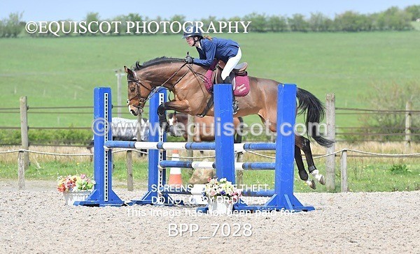 BPP_7028 - CLASS 5 FRI Veterans Show Jumping
