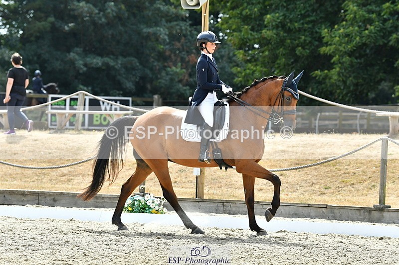 260802A-153512-07518 - Intermediate Bronze