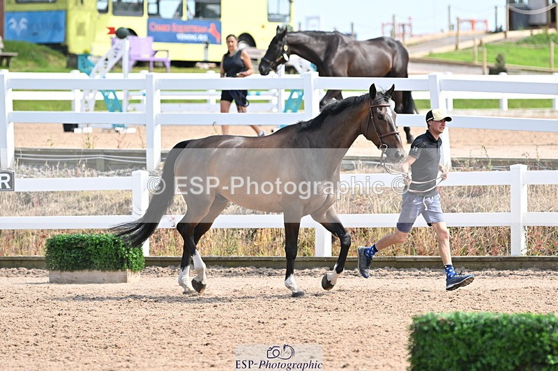 240717A-155401-03158 - Trot Up 3pm to 4pm