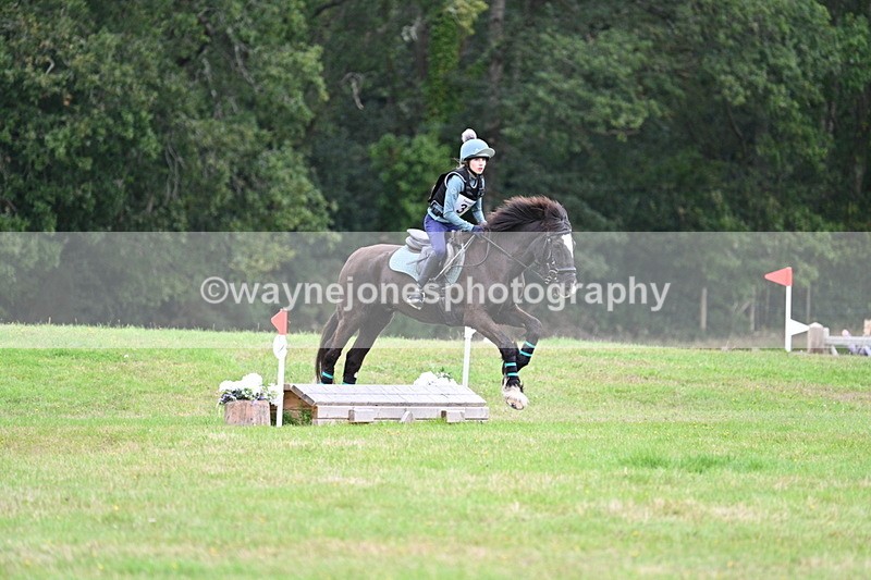 WJ7_7685 - 40cm Time 10:49 to 11:18