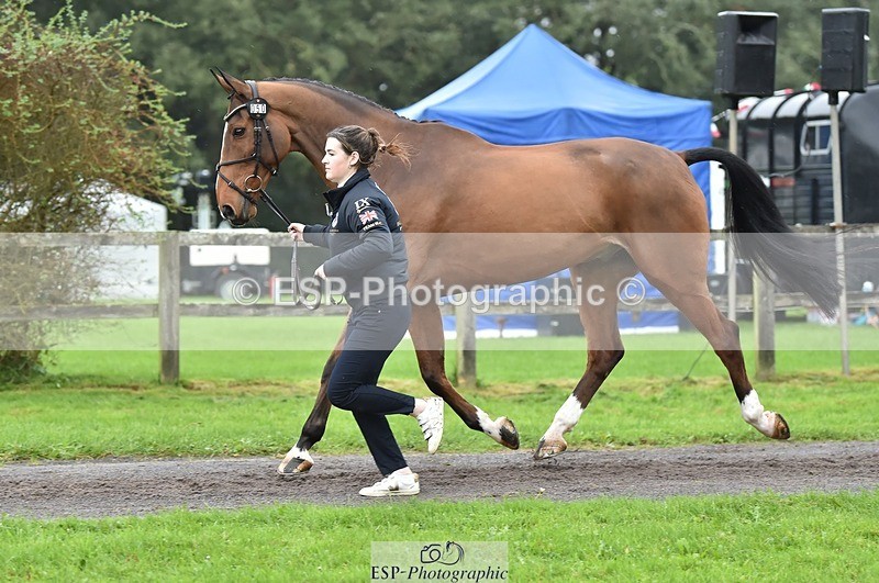 231018-123810-00415 - 050-VENDOME.BIATS-Annabel.Finston-TrotUp