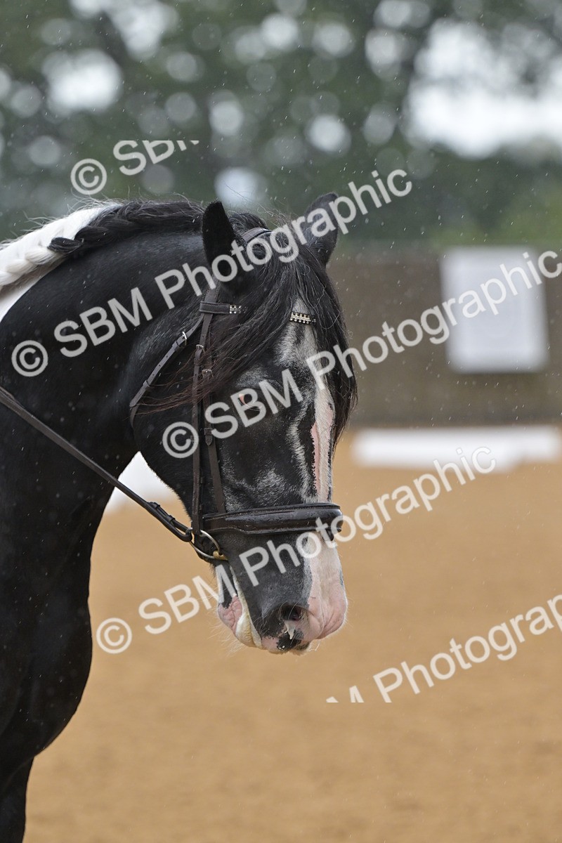 SBM_02218 - D2 - Small Tour Championship Intro 2