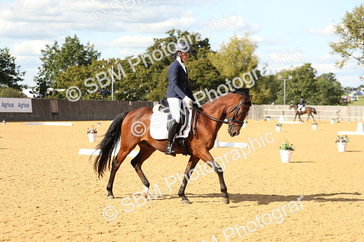 SBM_26622 - D17 - Grand Tour Championship - Novice 27