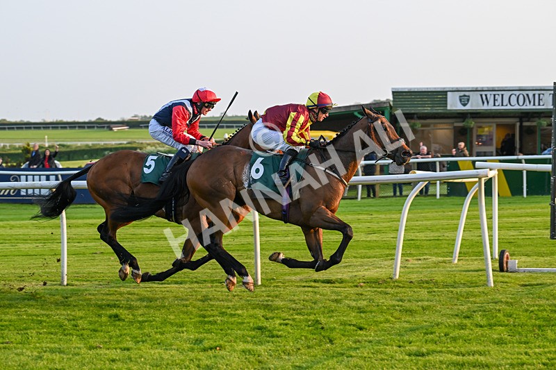 310524-Race 4-Albegone-8787 - Race 4