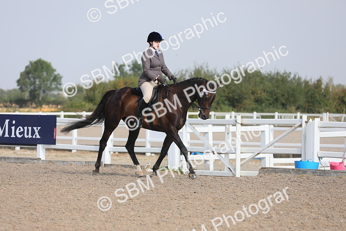 SBM_11326 - Class 305 Ridden Foreign Breeds- Pure Bred