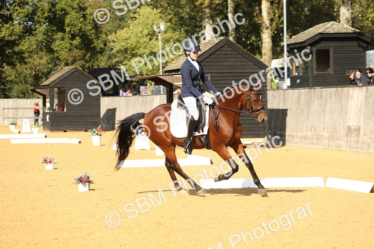 SBM_26637 - D17 - Grand Tour Championship - Novice 27