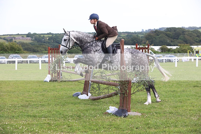 JPP_3803 - Class 23: Working Hunter 80cm