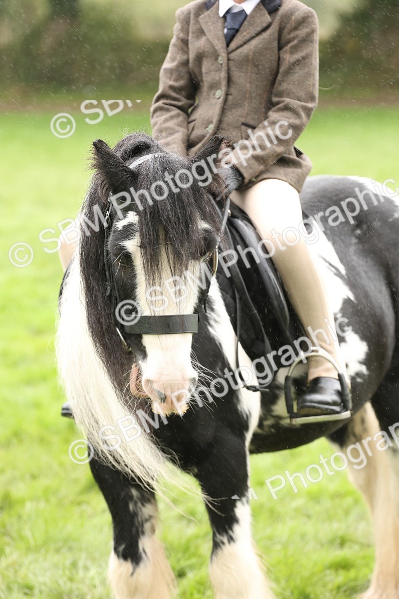 SBM_72780 - S70 - Traditional Cob Ridden