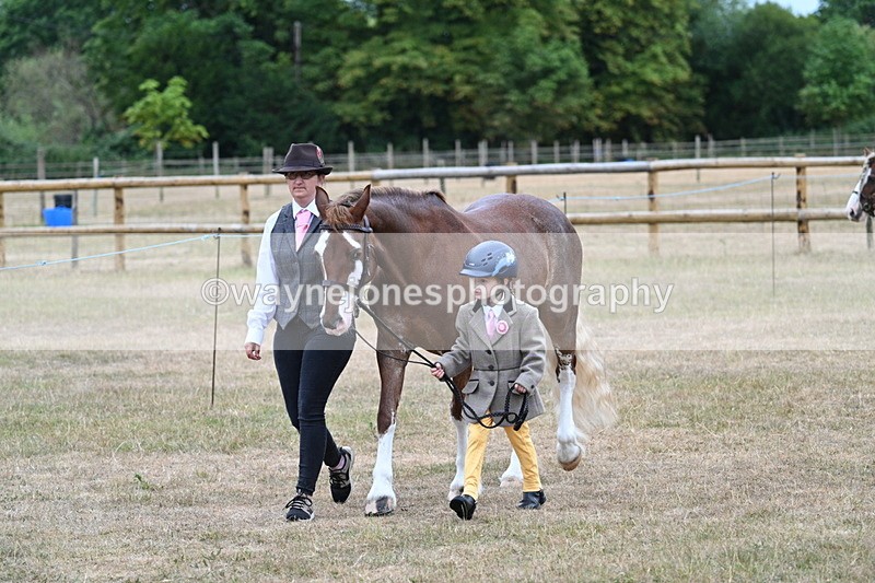 WJ7_8004 - Class 4 Prettiest Mare up to 14.2hh