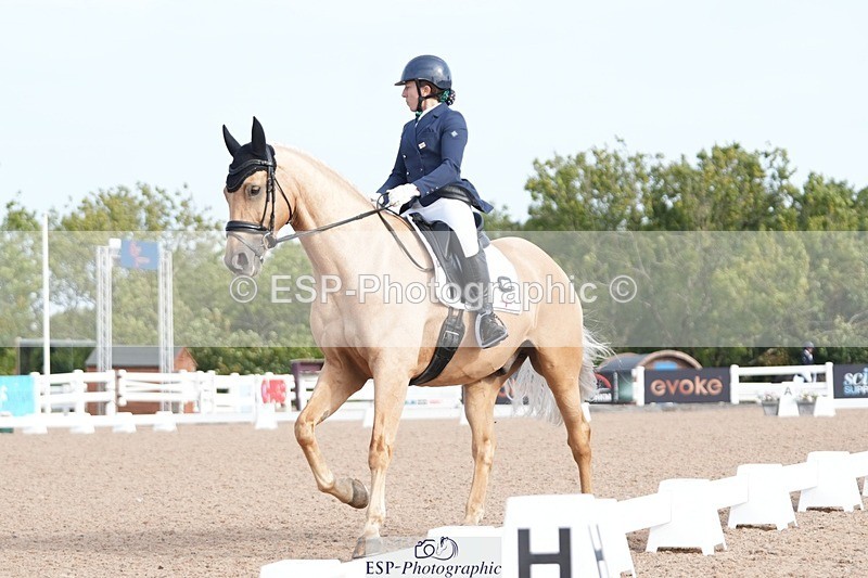 250906-094334-01180 - 025-Carrie.EveGekkos.Gold