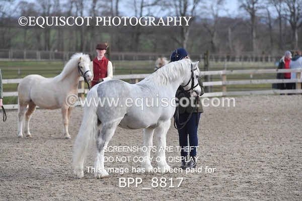 BPP_8817 - RING 2 - M&M