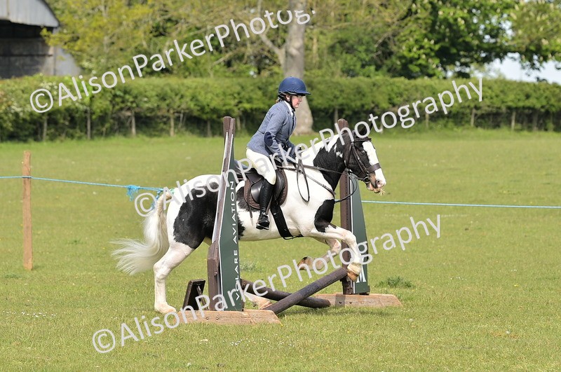 20260426-2275 - Class 20 - Beginner Working Hunter