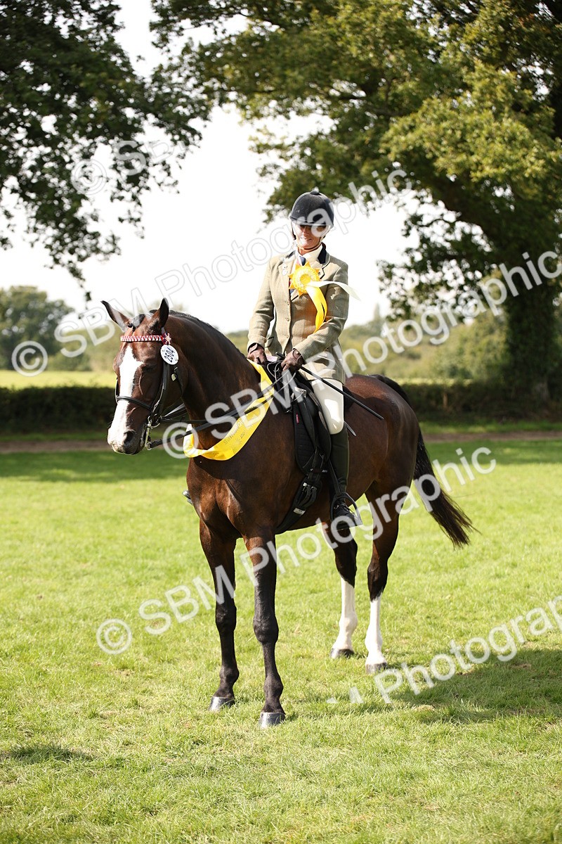 SBM_65997 - S64 - Riding Horse & Hack & Thoroughbred Ridden
