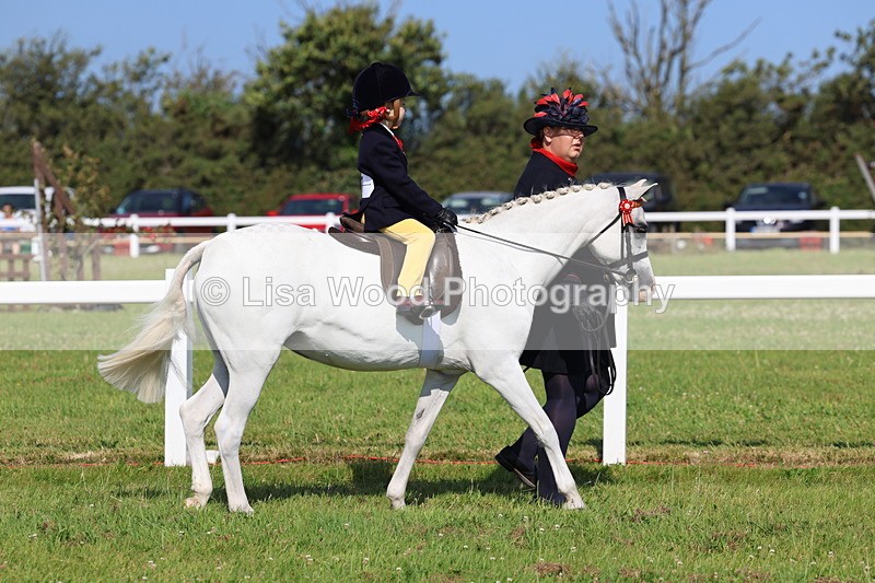 IMG_1706 - Class 31: Lead Rein SP/SHP
