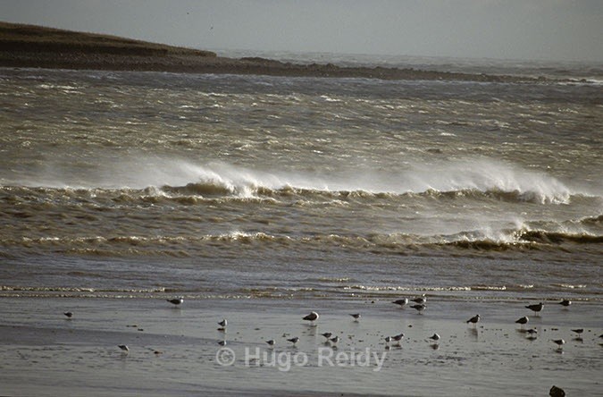  - Skerries