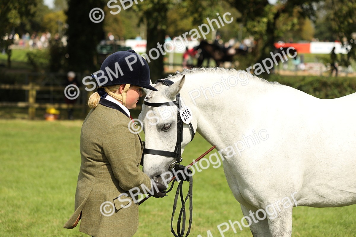 SBM_68622 - S40 - Junior Handler 9-12 Years