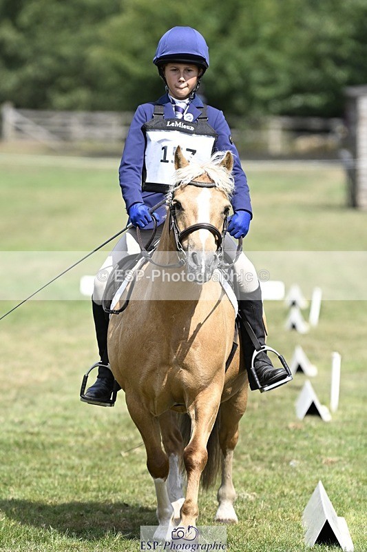 250821A-122529-15548 - DR 11.00 to 12.00