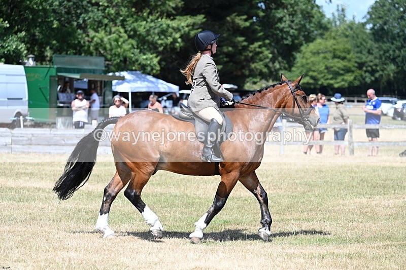 WJ7_3488 - Class 8 Ridden Veterans