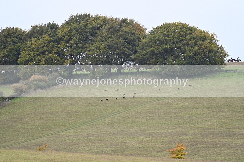 WJ7_4001 - Camera 1 Line 2