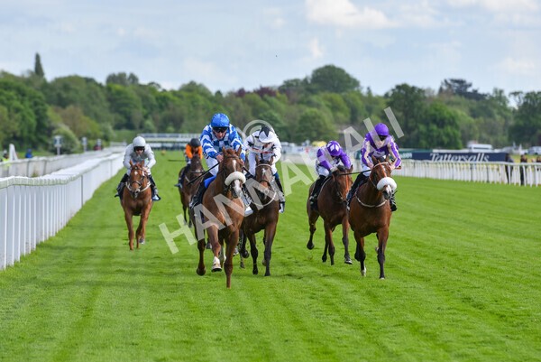 yr11052022r7-19 - Race 7 5.15pm British Stallion Studs EBF Novice Stakes