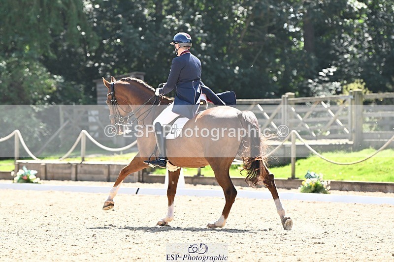 240811-145446-06464 - 121-Debbie.Cole-Dancer.III