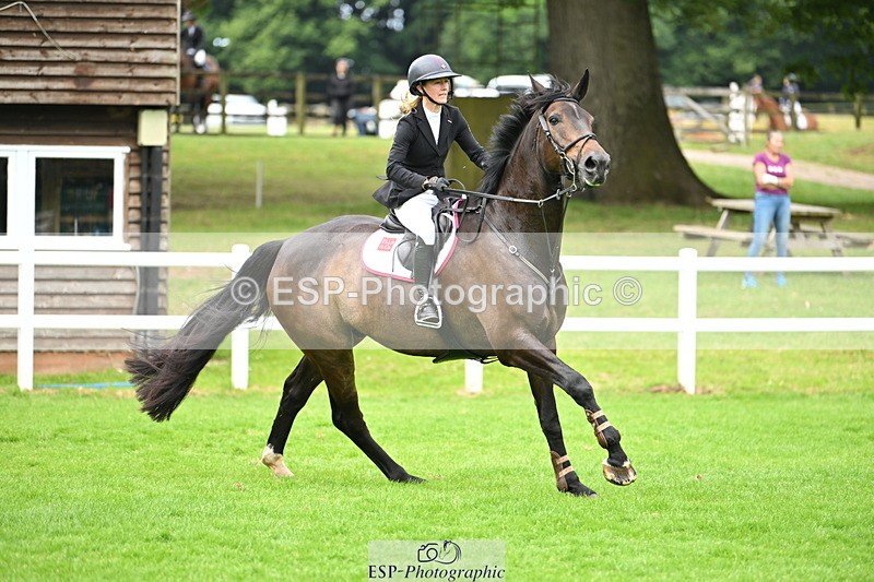 250615A-083501-09209 - Cls 35 Foxhunter