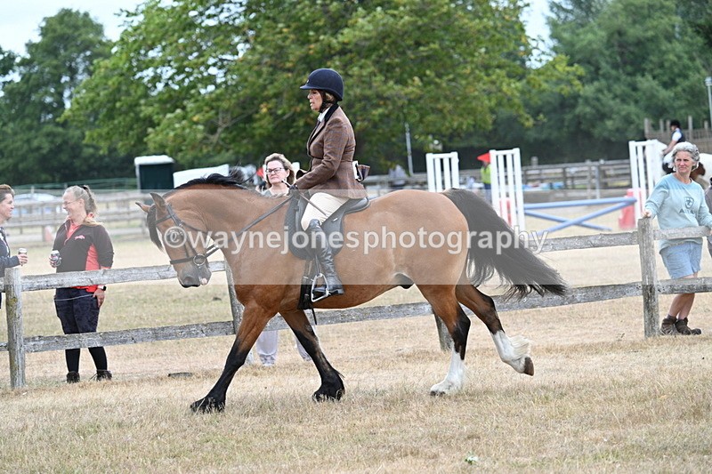 WJ7_0586 - Class 6 Ridden Mountain and Moorland