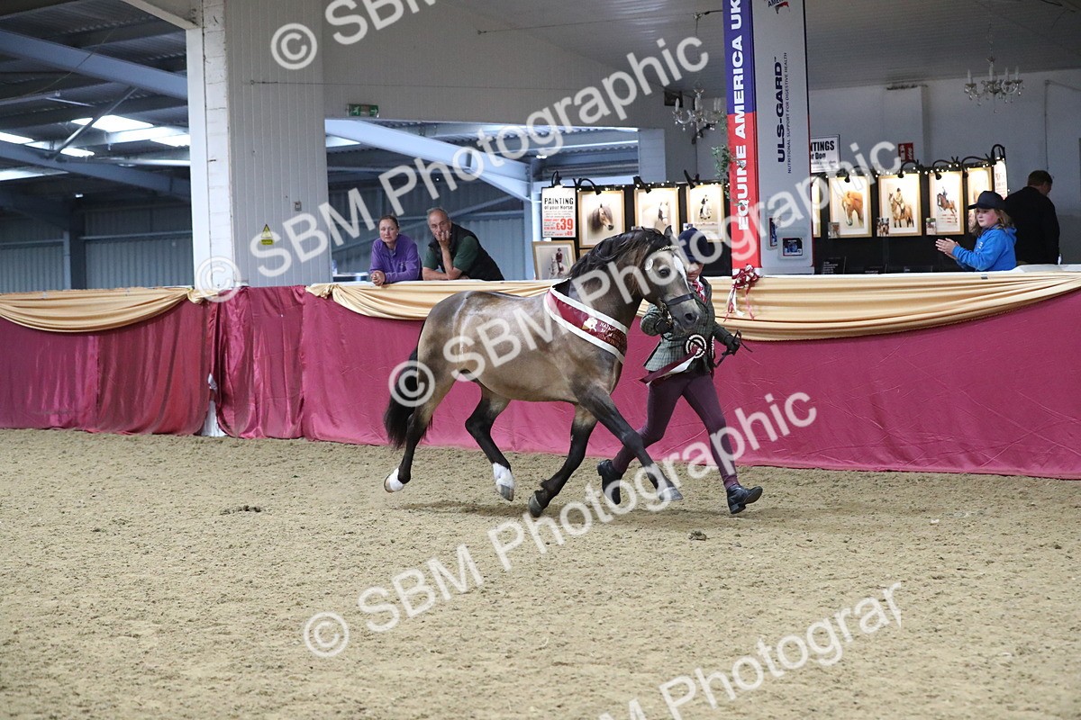 SBM_15458 - Class 501 M&M IH Supreme Final