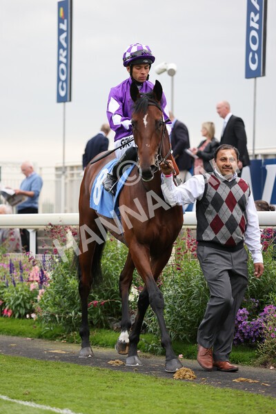 yr09102021r5-9 - Race 5 3.50pm Coral ebfstallions.com Novice Stakes