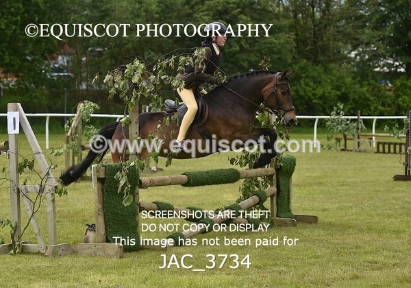 JAC_3734 - 75CM WORKING HUNTER