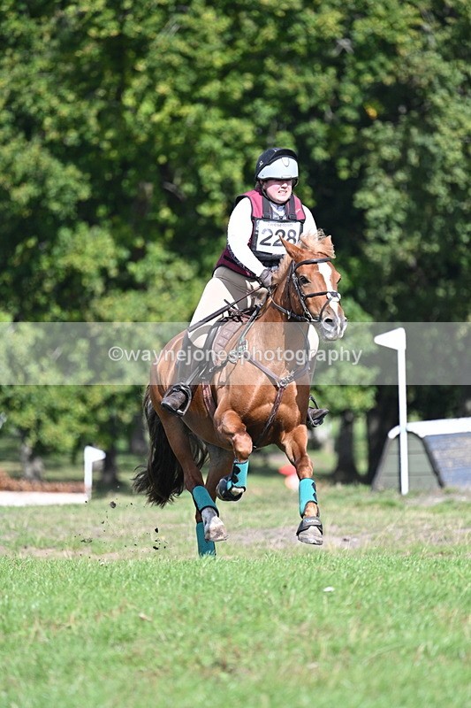 WJ7_0744 - Time 12:02 to 12:30