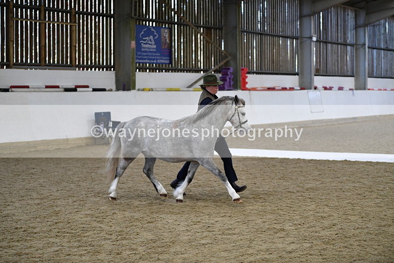 WJ5_5420 - Class 4 In hand M&M - small breeds