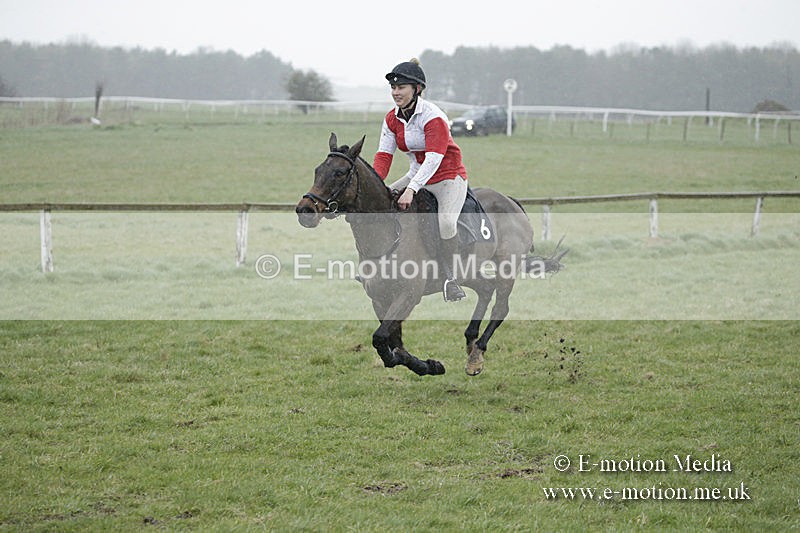 PtP 150320 0047 - New Forest Point-to-Point Larkhill 15/03/20