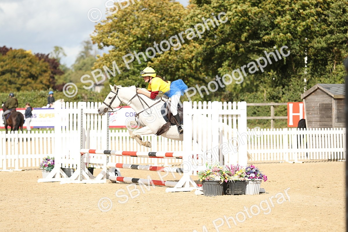 SBM_47307 - J47 - Ride and Run 60cm75cm