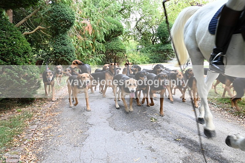 WJ6_3953 - Berks & Bucks - The Old farmhouse - Hound Exercise 20-08-25