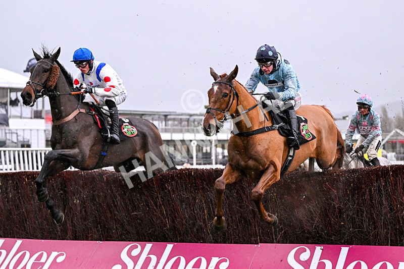 141125-Race 3-Leave Of Absence-9938 - Race 3