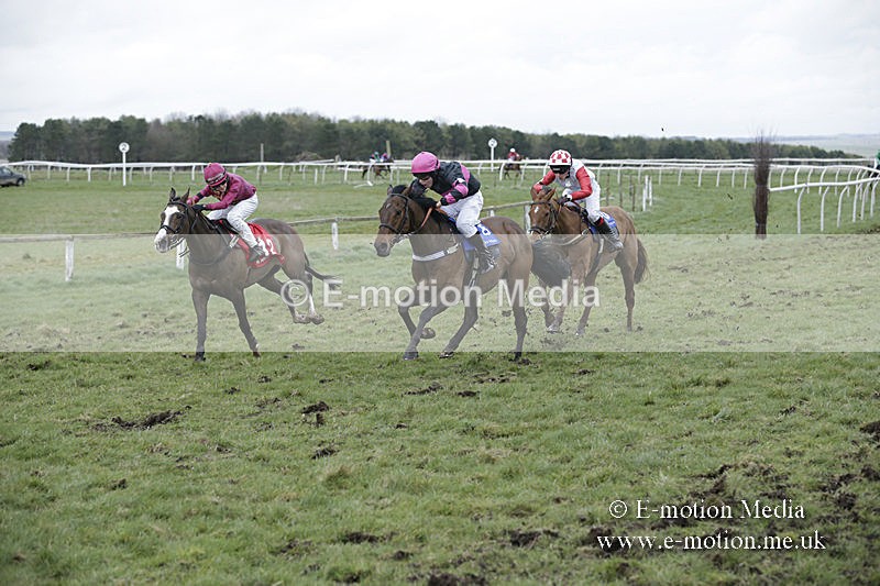 PtP 150320 0870 - New Forest Point-to-Point Larkhill 15/03/20