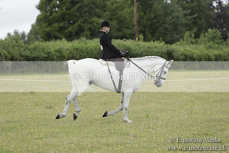 BVR160717-2352 - Side Saddle Classes 16/07/17