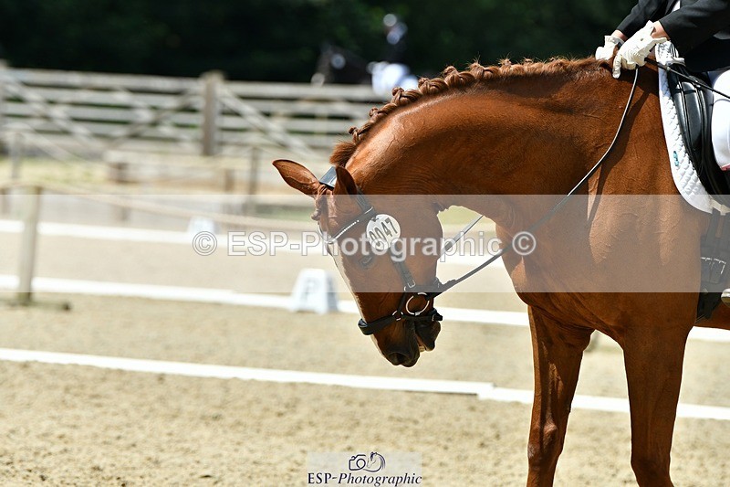 230623-115423-00550 - Cls 3 Novice 23 Start to 11.55 break