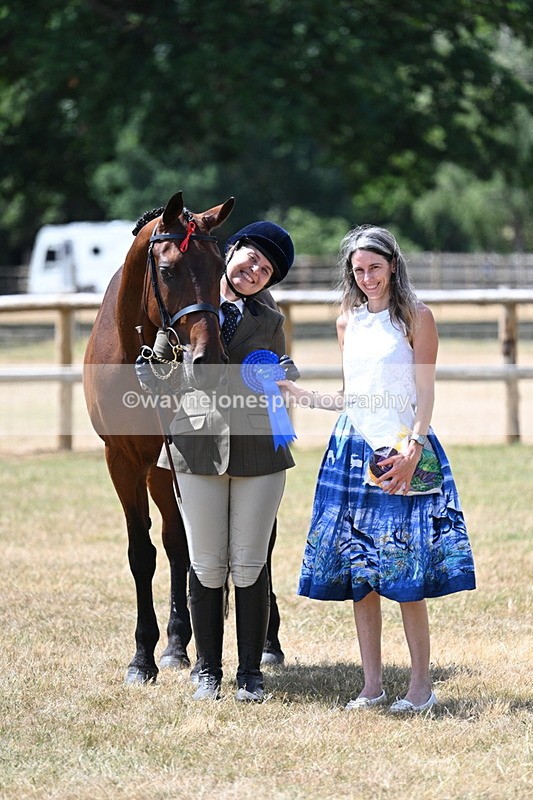 WJ7_2032 - Class 4a Prettiest Mare 14.2hh and over hand