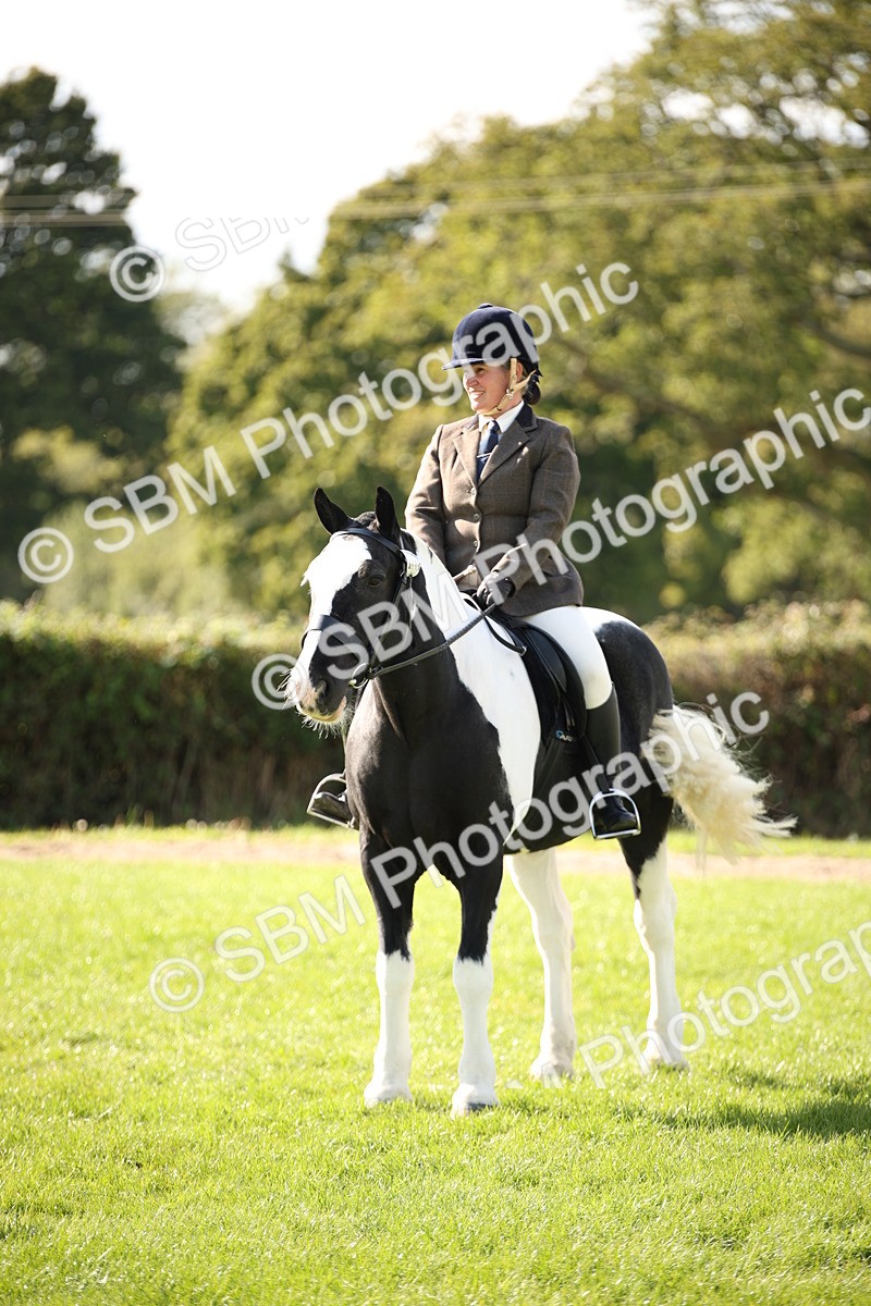 SBM_50087 - S26 - Young Veteran - Ridden