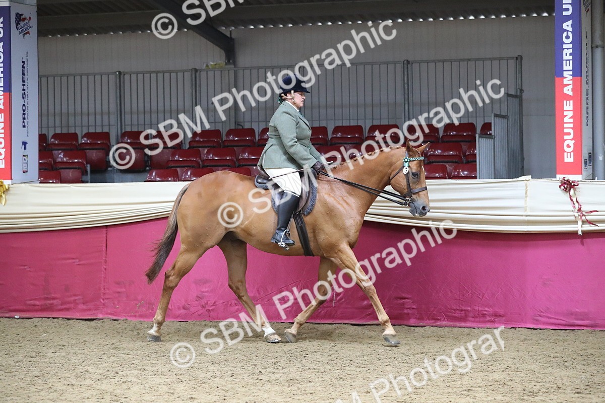 SBM_12318 - Class 108 Ridden Retired Racehorse- Pre Judging