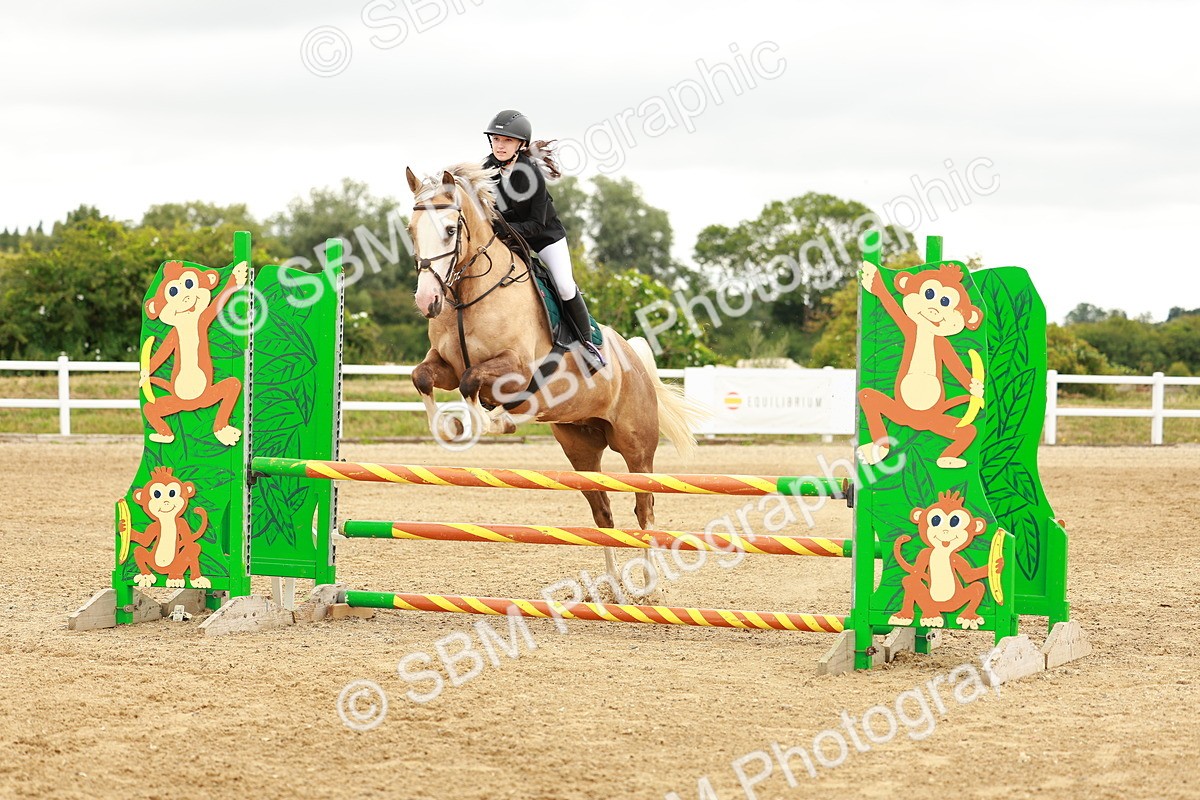 SBM_001598 - Class 9 - Senior British Novice - 90cm