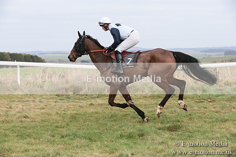 PtP 060119 186 - Larkhill Racing Club - Point-to-Point- 06/01/2019
