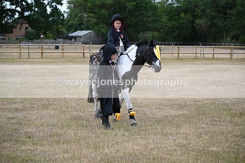 WJ6_8581 - Class 11 Fancy Dress
