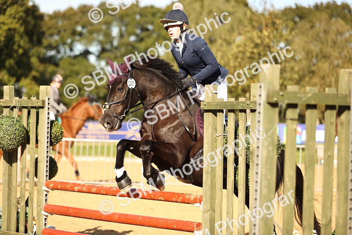 SBM_35131 - J38 - Senior 80cm Championship