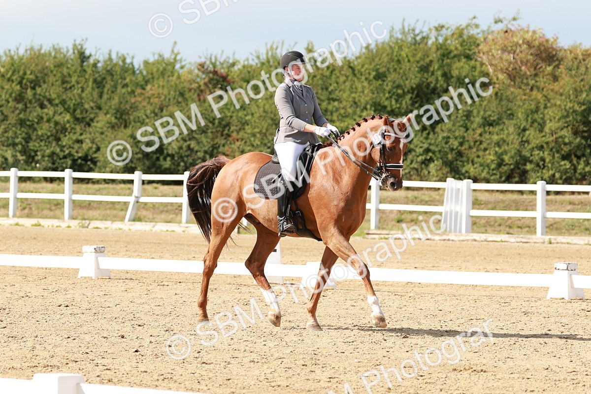 SBM_002569 - Class 11 - Medium 6