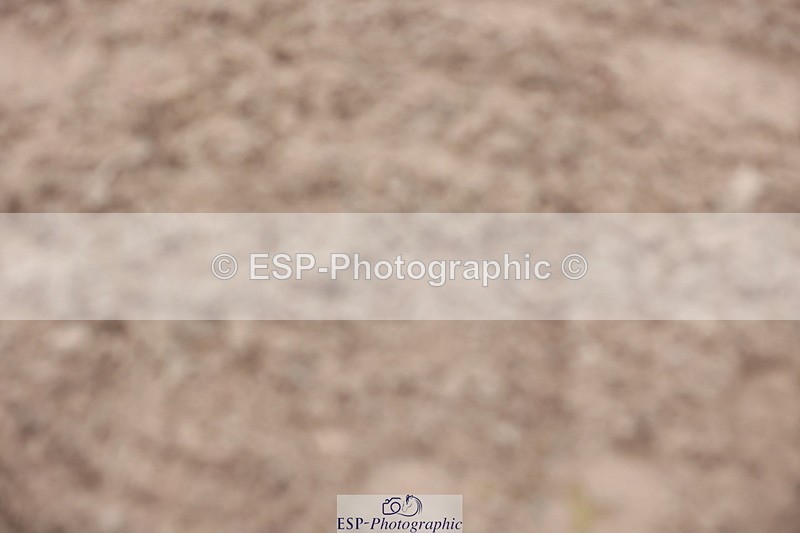 241101A-080152-00019 - FRI Cls 2 British Novice and 90cm Open