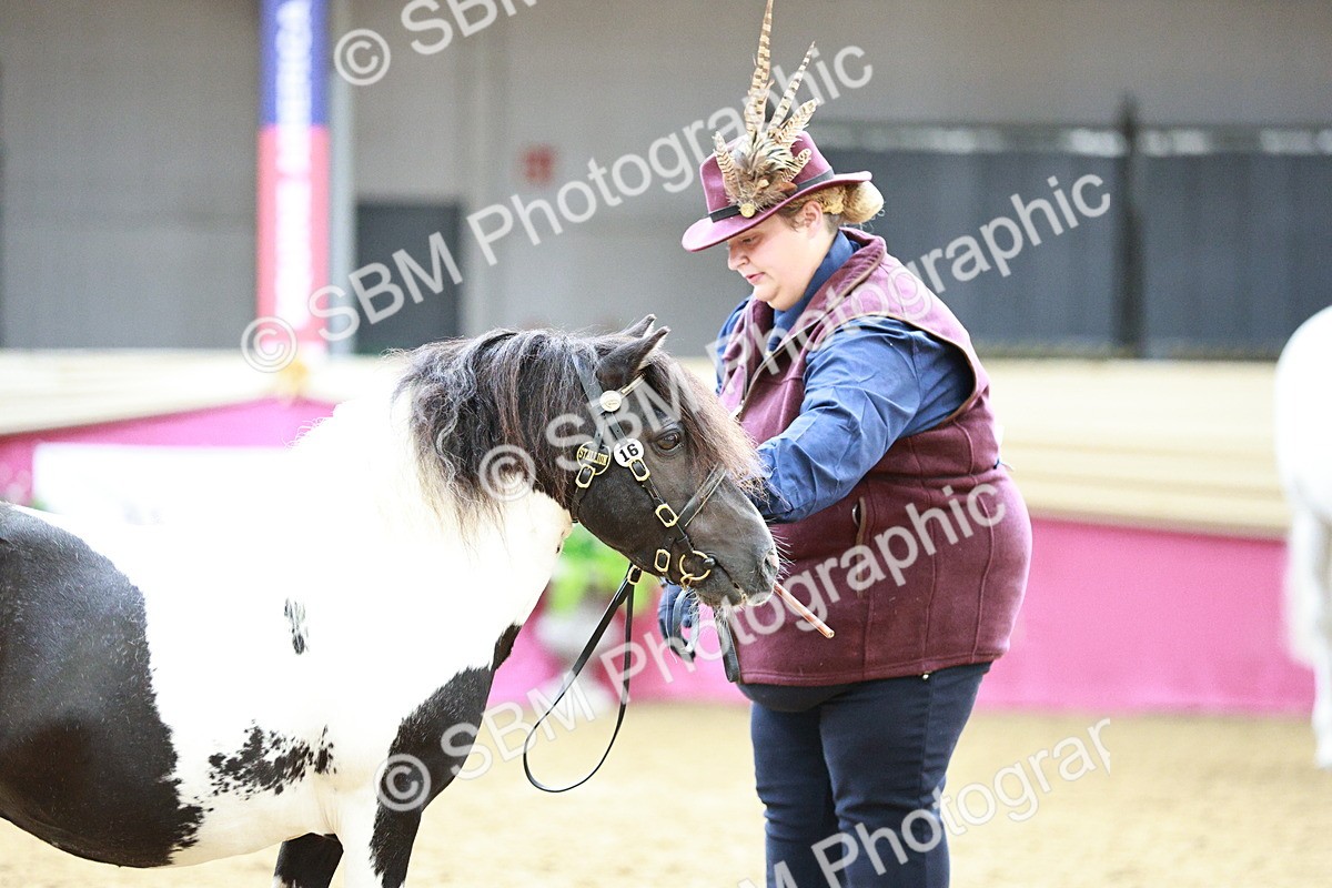 SBM_01272 - Class 3A - Area IH Pre-Vet