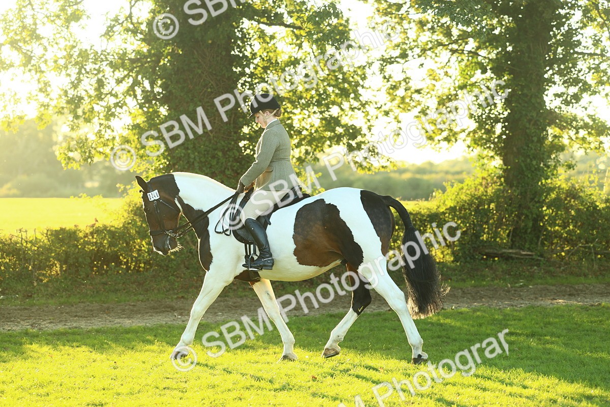 SBM_56485 - S14 - Riding Club Horse